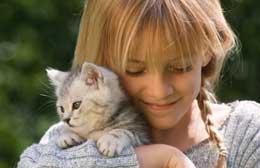 Sotto l’albero di Natale ho trovato un bel gattino…