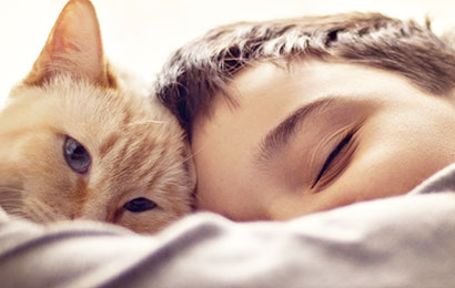 Rimedi naturali per curare e gestire l’allergia al gatto di casa