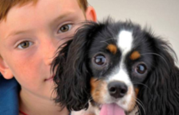 Mamma e papà si separano… e Fido con chi va?