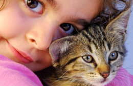 Sfatiamo il mito del gatto e della toxoplasmosi in gravidanza