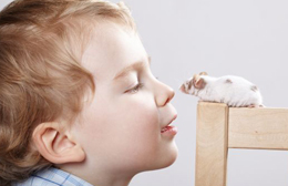 Quando a curarci sono micio e fido domestici: pet therapy e dintorni…
