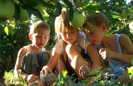 Aiuto, mio figlio ha… i vermi!!!
