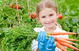 Ecosostenibilitá e buone pratiche quotidiane a scuola