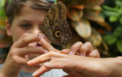 Nel futuro dei nostri bambini, dov’è il rispetto e l’ecosostenibilità?