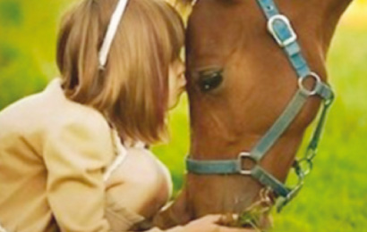 Rispetto è la parola d’ordine per il cavallo e il cavaliere