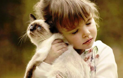 Facendo esperienza è più bello imparare!!!