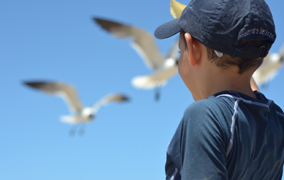 mettiamo le ali alle nostre radici